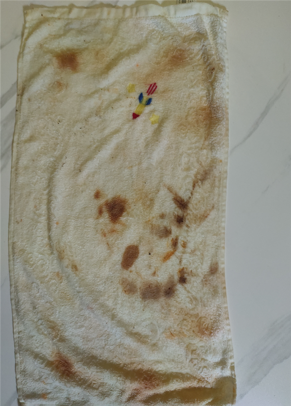 实力开启“内外分开洗”洗衣时代,石头H1 Air和M1 Pure才是年轻人洗烘神器