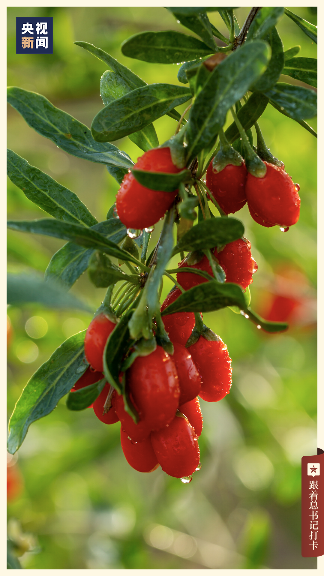 「宁夏」，你可太宝藏了