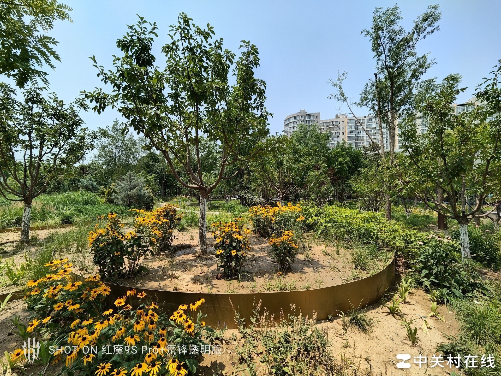 这性能你受得了吗?红魔9S Pro+评测