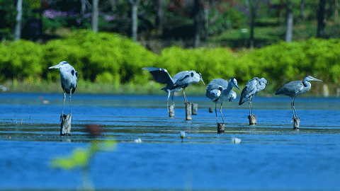 「宁夏」，你可太宝藏了