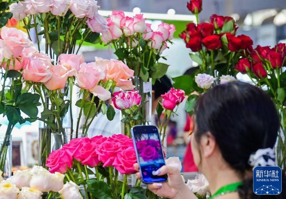 观众在国货特色潮品展区云南展台拍照，云南展台为本届消博会准备了8000余支、20多个品种的云南本土鲜切玫瑰。新华社记者王楚天 摄