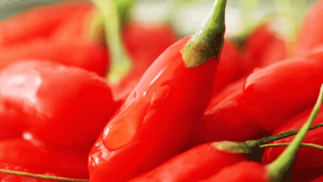 「宁夏」，你可太宝藏了