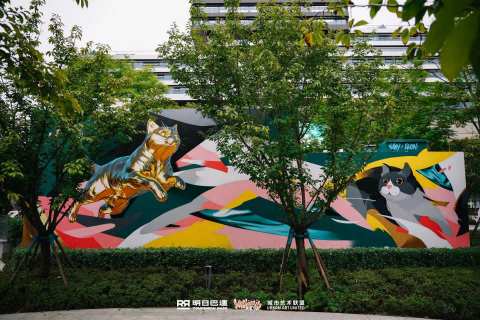 图片6