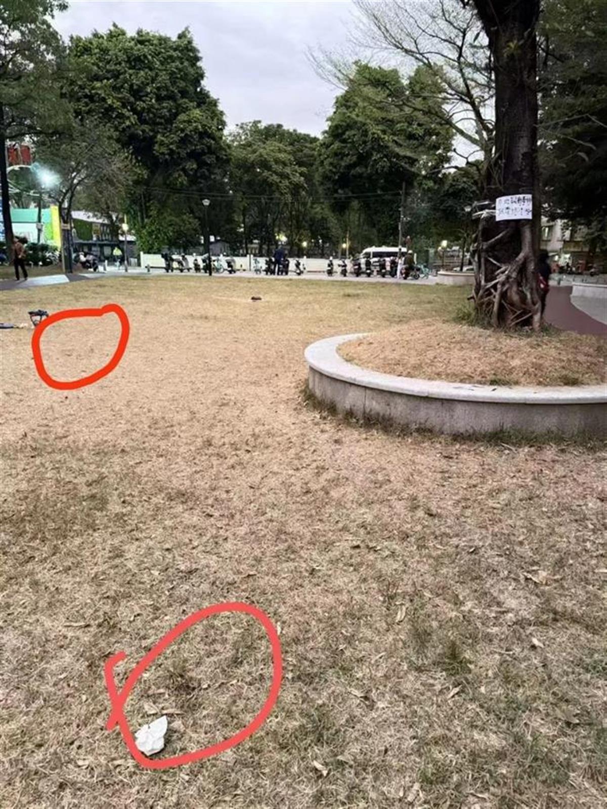 事发广场的草地