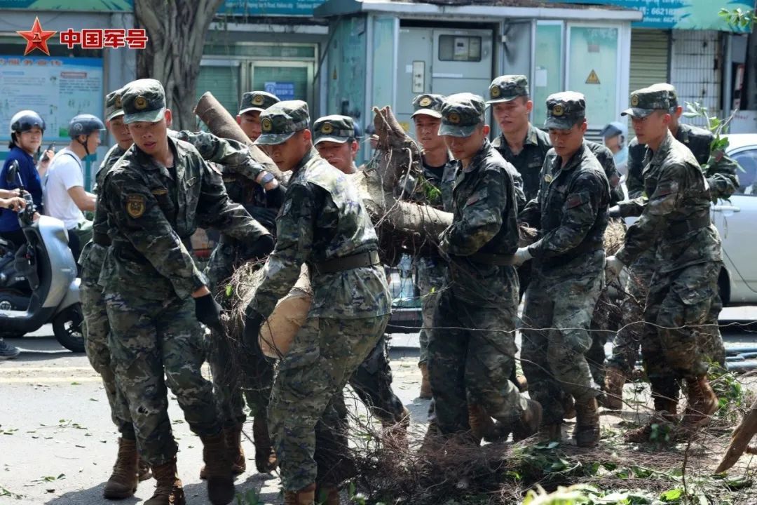 武警海南总队官兵移除倒伏在街道上的树干。雷辙 摄