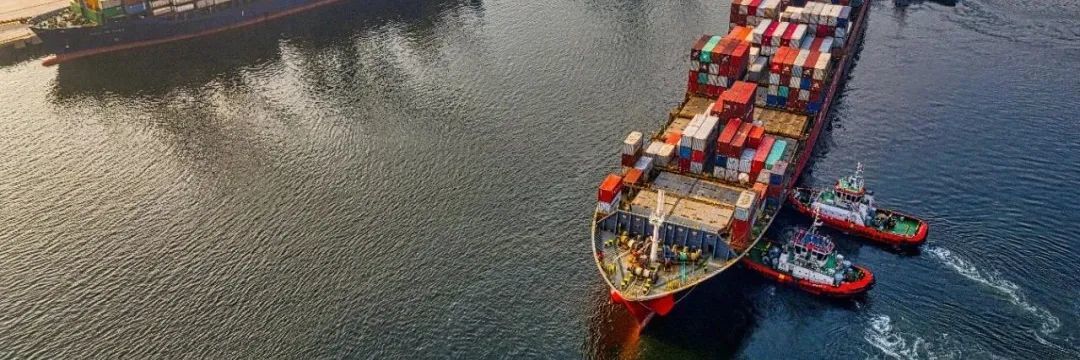“半托管”大火，有人3个月破万单，有人冲进类目前五