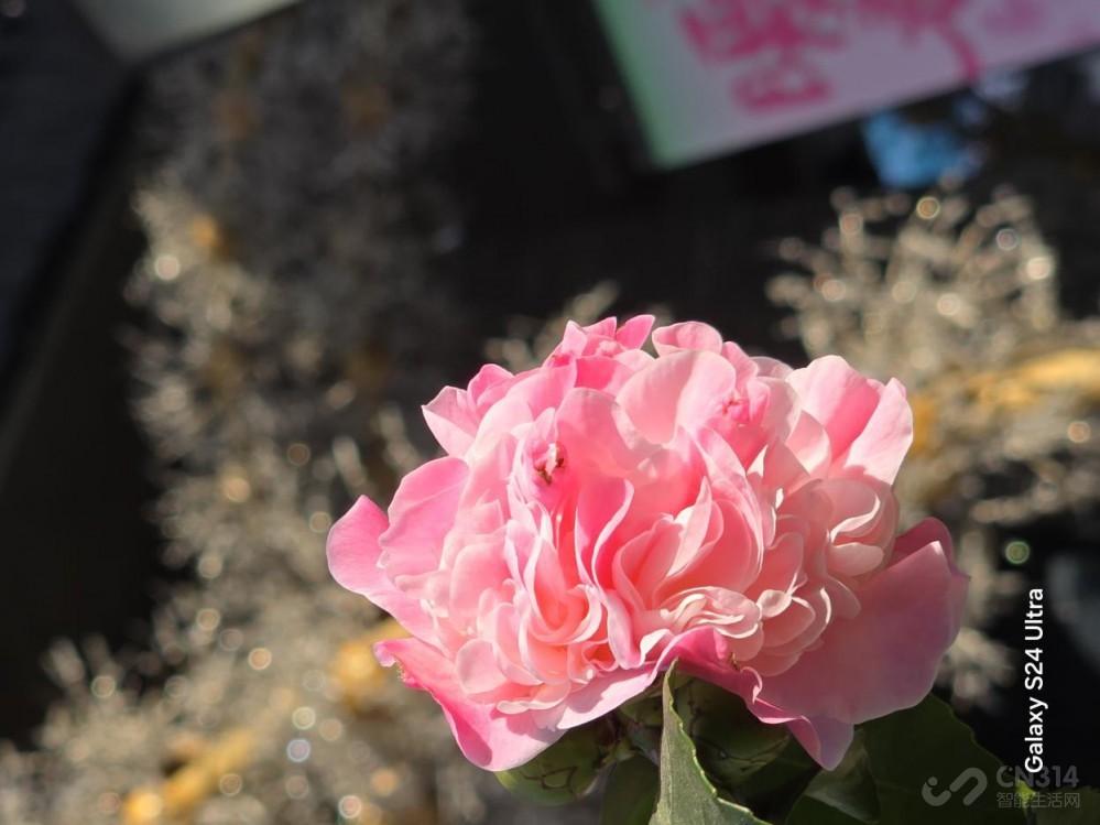 三星Galaxy S24 Ultra评测:演唱会新神器