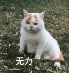 Ilya离开OpenAI内幕曝光:奥特曼砍他团队算力,优先搞产品赚钱