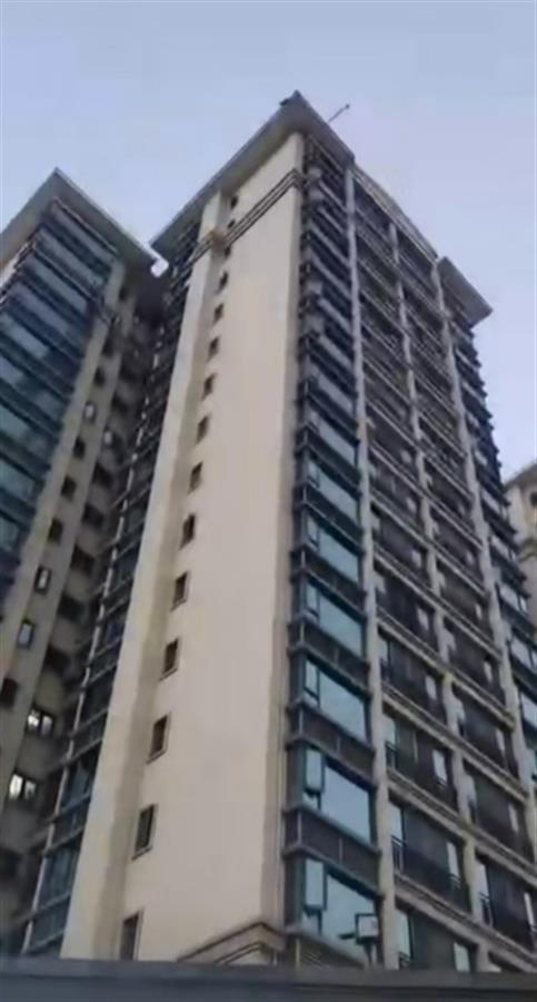 现场视频截图