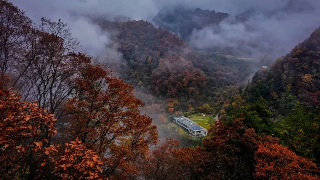 留坝县,火烧店镇,天星亮村,秦岭宿集又「红」了