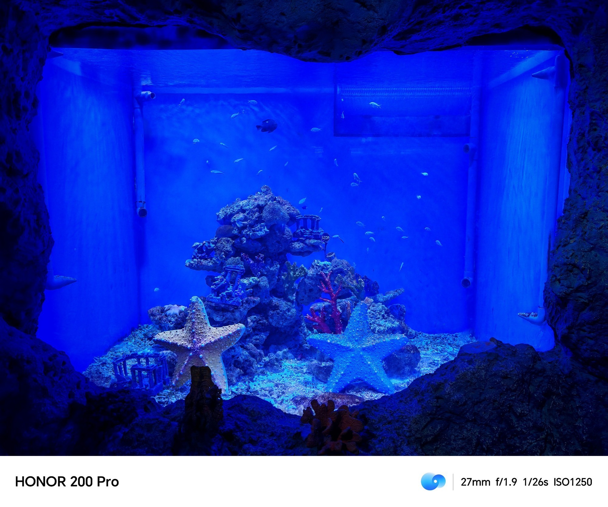 用AI重构手机人像摄影 荣耀200 Pro上手体验