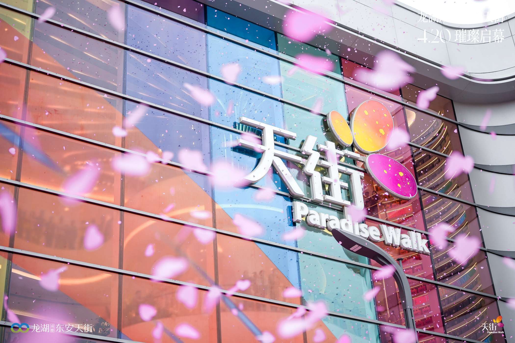 粉桃漫天1(1)