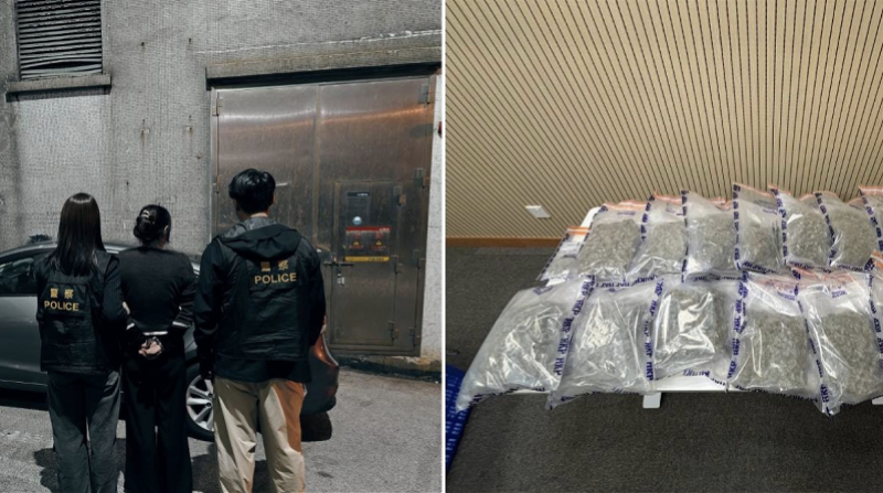 警方抓捕一名内地女子并检获大麻制成品。
