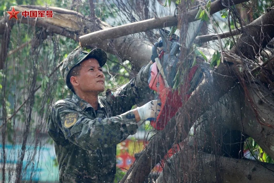 武警海南总队官兵清理被台风吹倒的树木。雷辙 摄