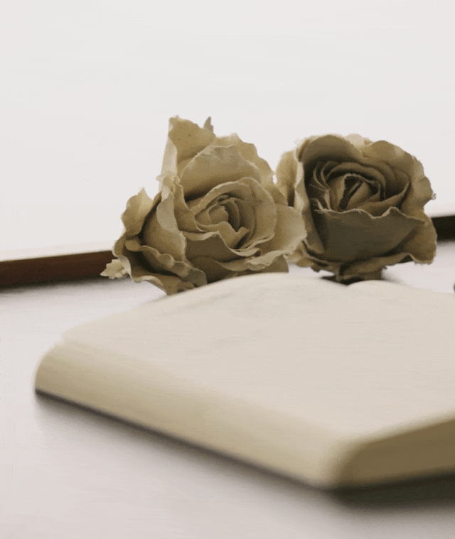 ▲书桌上的两朵陶土做成的花，是已故艺术家劳伦斯·卡罗尔（Lawrence Carroll）的妻子露西·卡罗尔（Lucy Carroll）赠予潘雅德的礼物