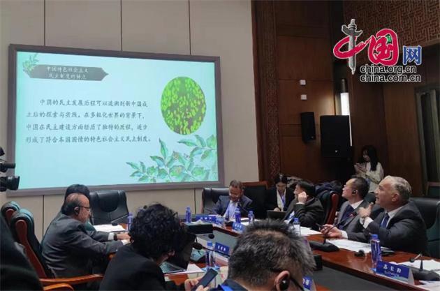 苏伊士运河大学孔子学院院长大海（Hassan Ragab）在分论坛上发言。中国网记者 彭瑶 摄