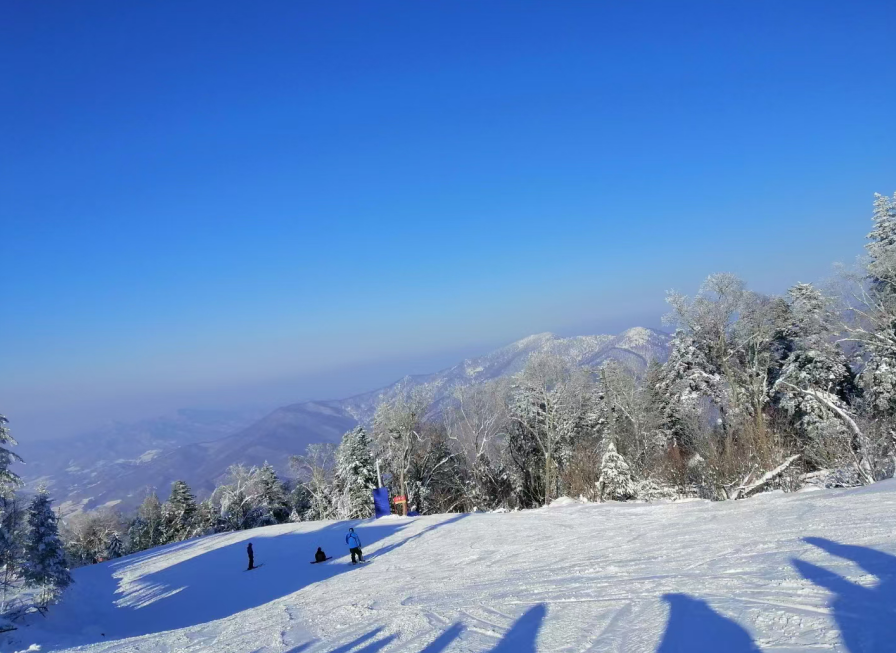 冬季的北大湖的雪道盛开“高山雾凇” 孟海鹰/摄