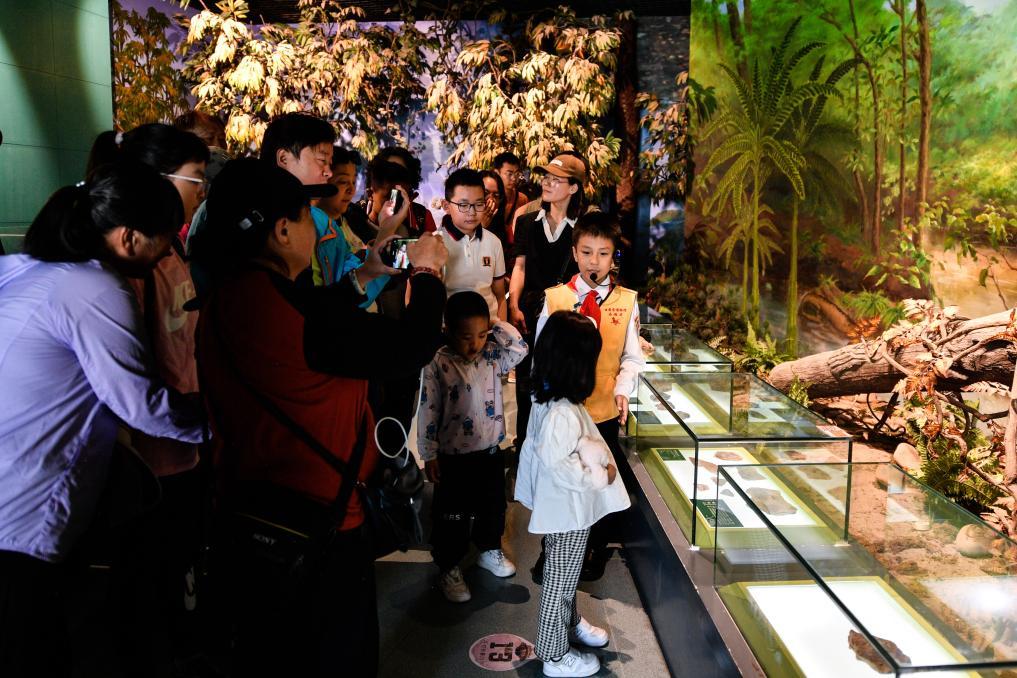 张书铖在甘肃省博物馆古生物化石展厅为游客讲解