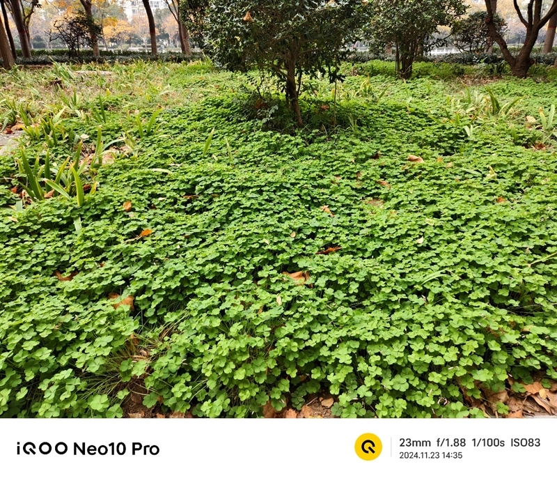 全球首款天玑9400游戏机iQOO Neo10 Pro全面评测:144帧丝滑玩《星铁》真香!