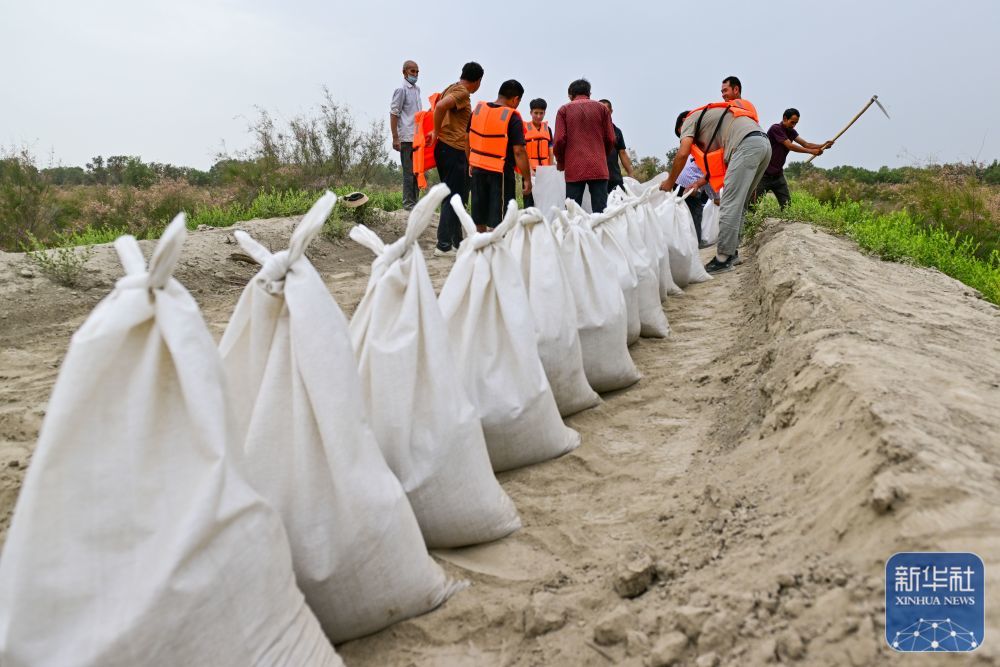↑在新疆阿克苏地区沙雅县盖孜库木乡一处河堤除险加固现场，抢险人员在装运沙袋（8月3日摄）。新华社记者 丁磊 摄