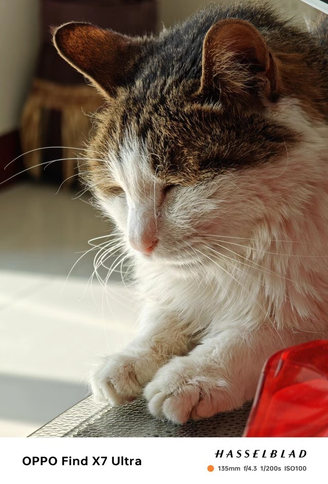 双潜望的料真没白堆 OPPO Find X7 Ultra一个月实拍体验