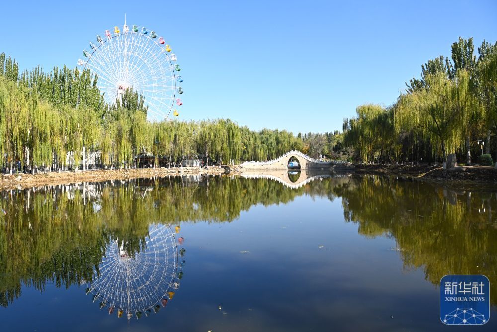 这是10月22日在银川市中山公园拍摄的秋景。