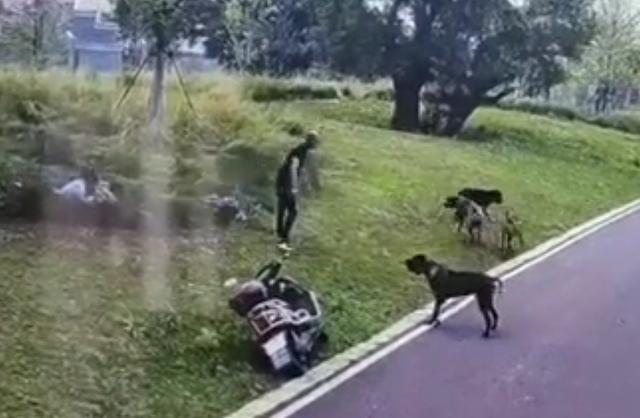 女童接受治疗。图/伤者家属社交媒体