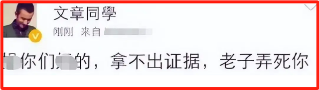 善恶终有报,“出轨门”已过10年,文章马伊利也终于迎来各自结局