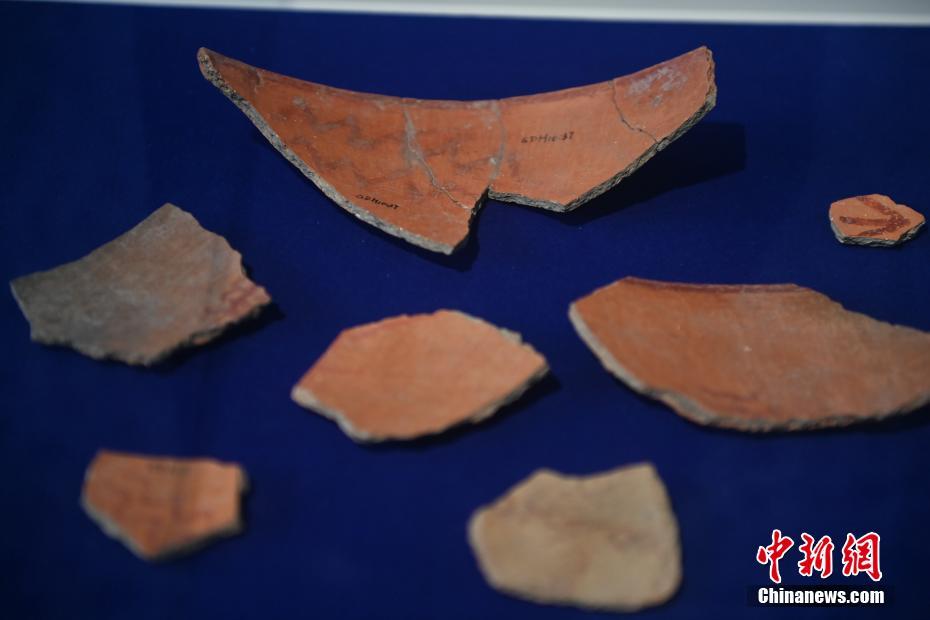 图为大地湾博物馆展品最早的文字符号彩绘符号陶片　中新社记者　李亚龙　摄