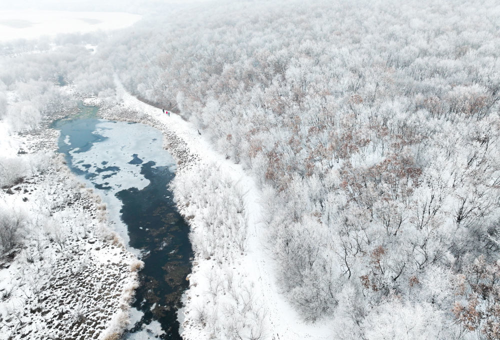 这是11月14日在莫力达瓦达斡尔族自治旗拍摄的雪后雾凇景观（无人机照片）。新华社记者 连振 摄