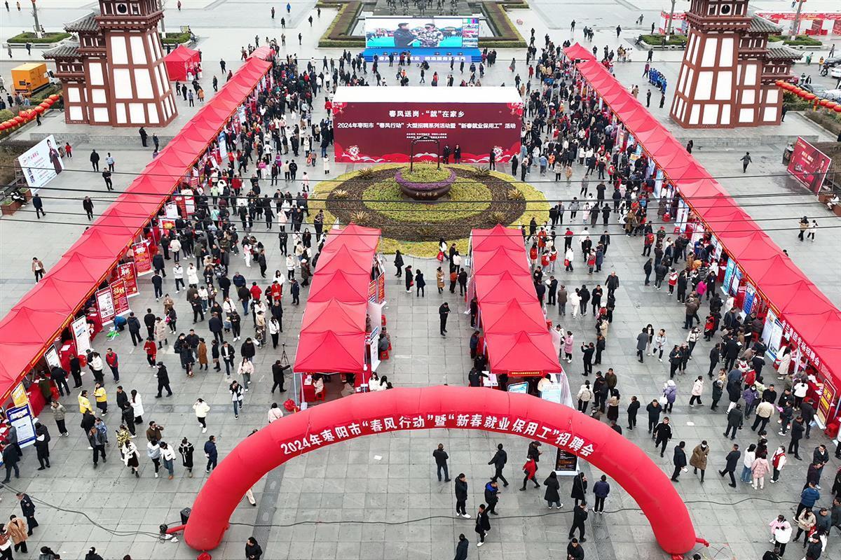 枣阳就业市场动态解析：职场新人如何寻找机会