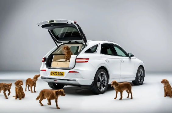 全球首创狗狗座椅!捷尼赛思GV70发布宠物专属套件