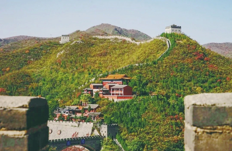 20241014_b81c636a88257acf721043c00fbf202e.jpg