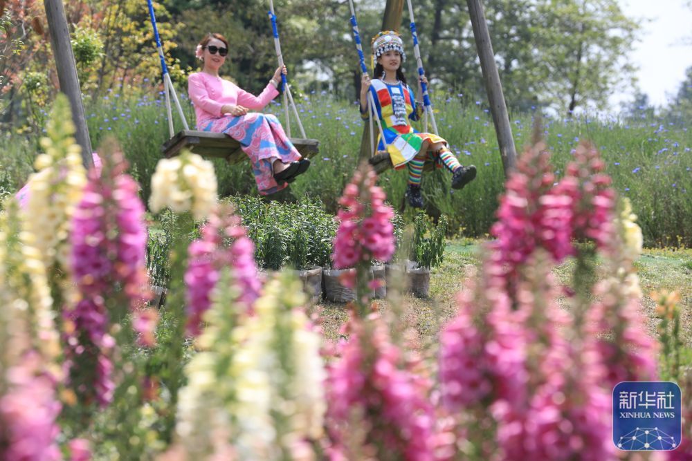 4月27日，游客在云南腾冲市中和镇归云庄花卉种植基地游玩。新华社发（龚祖金摄）