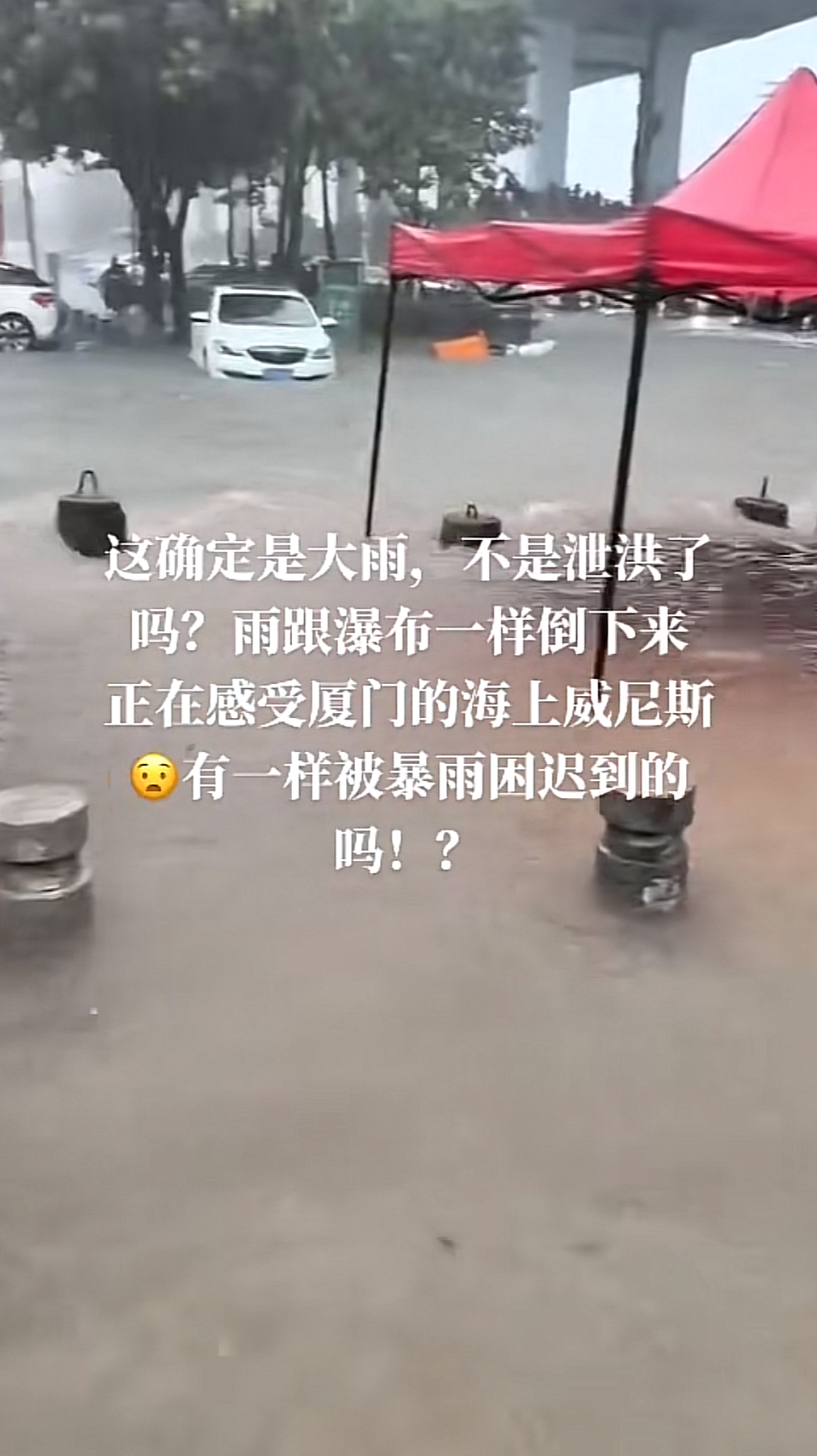 微信图片_20240924163226.png