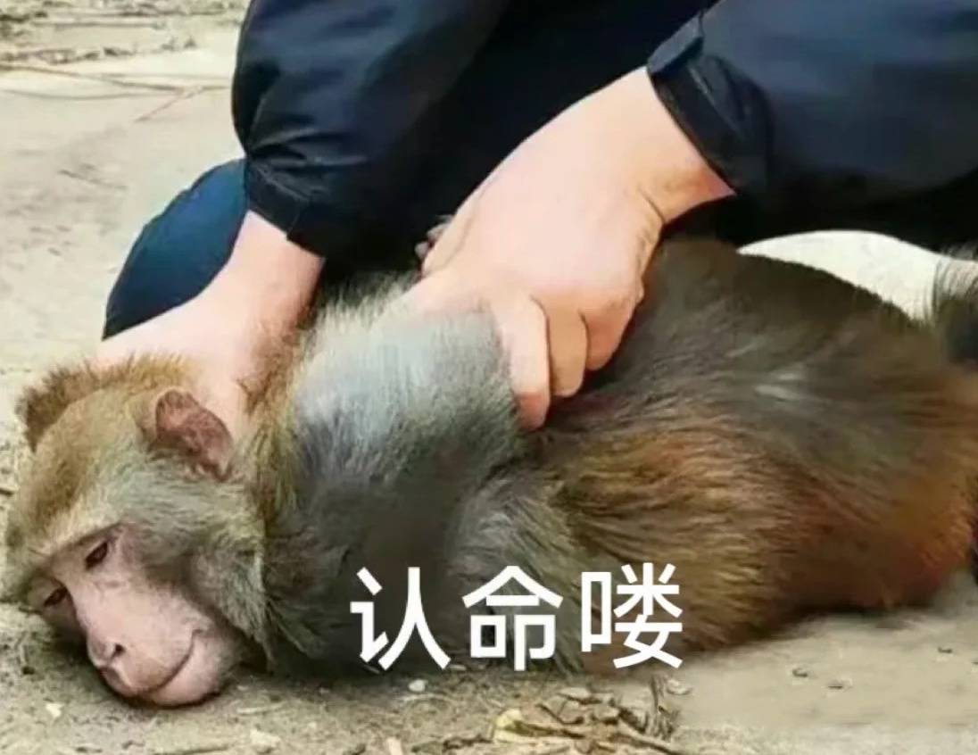 沈逸:菲律宾是美国放在南海的“阳谋陷阱”,中国怎么破?