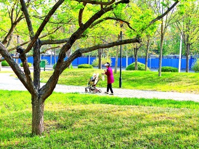 位于北京市海淀区永嘉南路路边的口袋公园，成为附近居民遛娃的好去处。本报记者 陈海波摄/光明图片