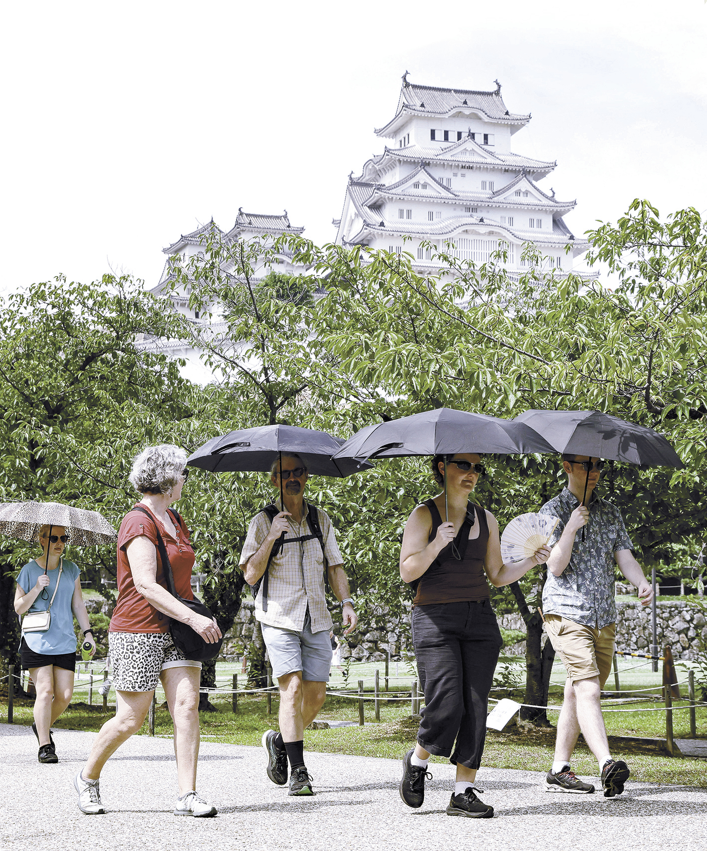 7月3日，外国游客游览位于日本姬路市的姬路城。（视觉中国）