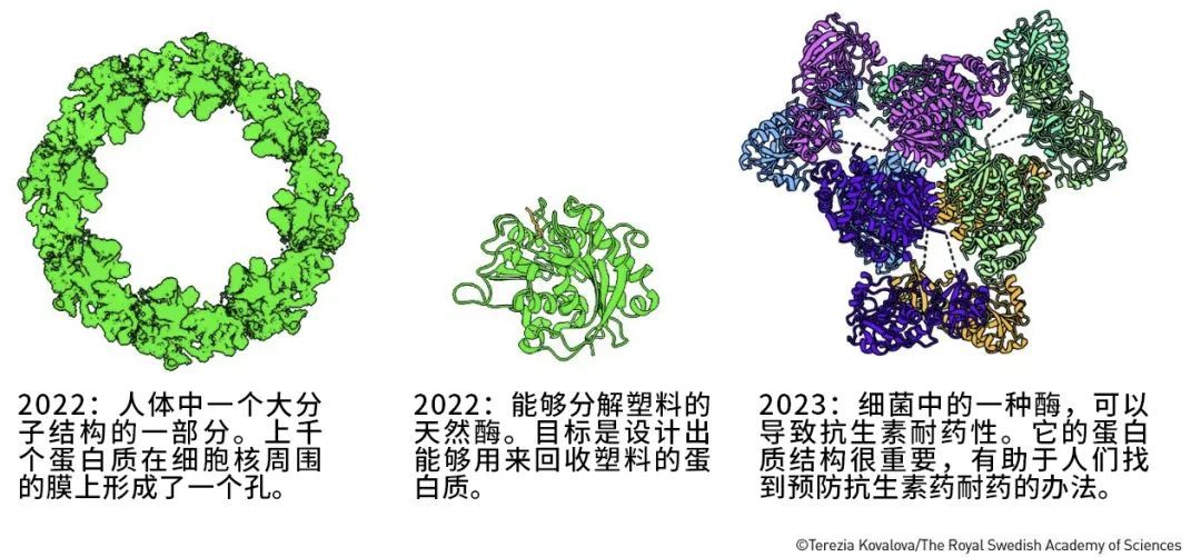 AI凭啥又得奖？就凭它半小时干完了几年的活