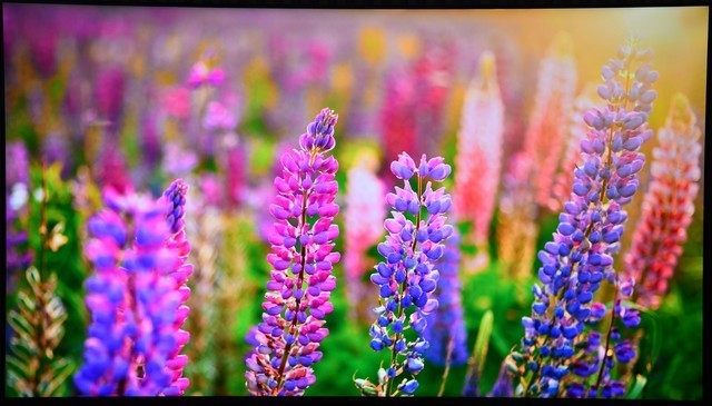 飞利浦QLED电视PQF8599体验报告:充分发掘色彩极限