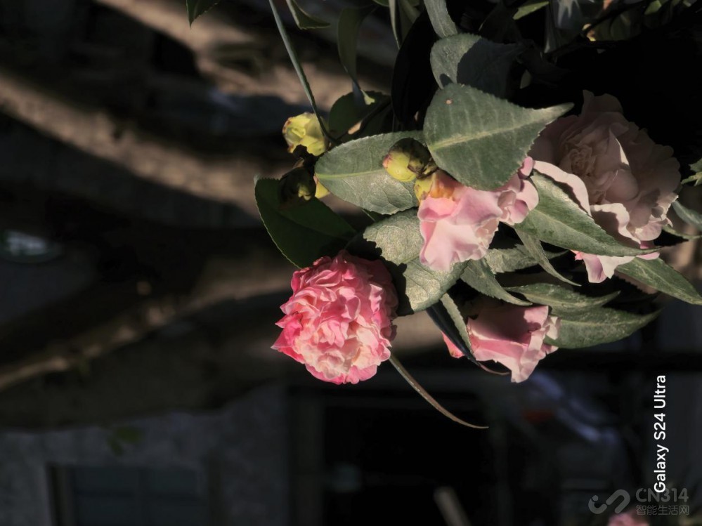 三星Galaxy S24 Ultra评测:演唱会新神器