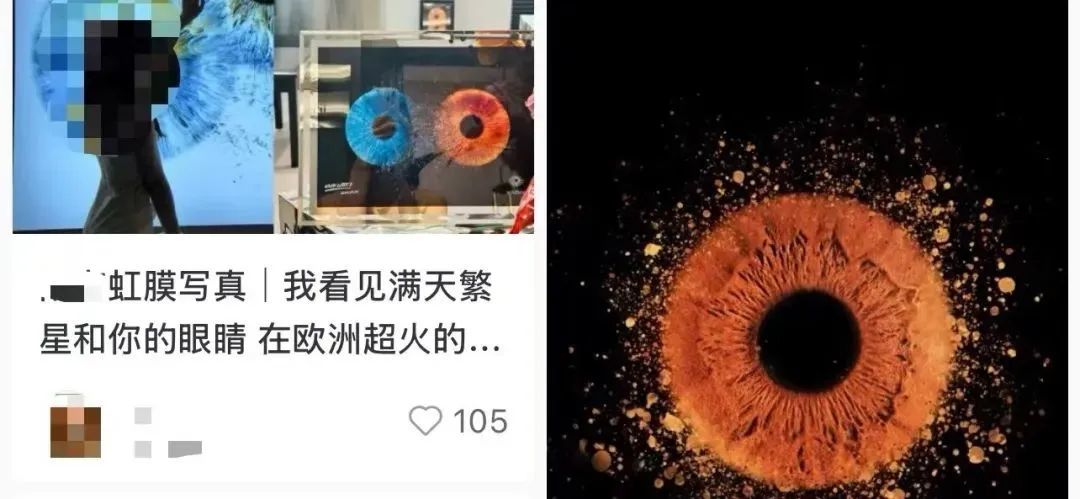 图源网络