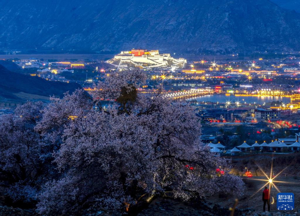 拉萨夜景 风景图片