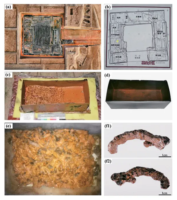 西汉海昏侯墓曾出土装有半盒疑似虫草类样品的木质漆盒。研究发现，该样品为玄参科地黄属植物根的辅料炮制品，其外层辅料有淀粉和蔗糖等成分，这是迄今发现的最早的中药辅料炮制品。图为海昏侯墓园主墓及平面图、出土的漆盒及其中的地黄炮制品。 中国中医科学院供图