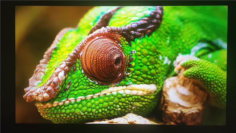 3K价位无对手!电视S65 Mini LED评测:控黑优秀 显示延迟仅8ms