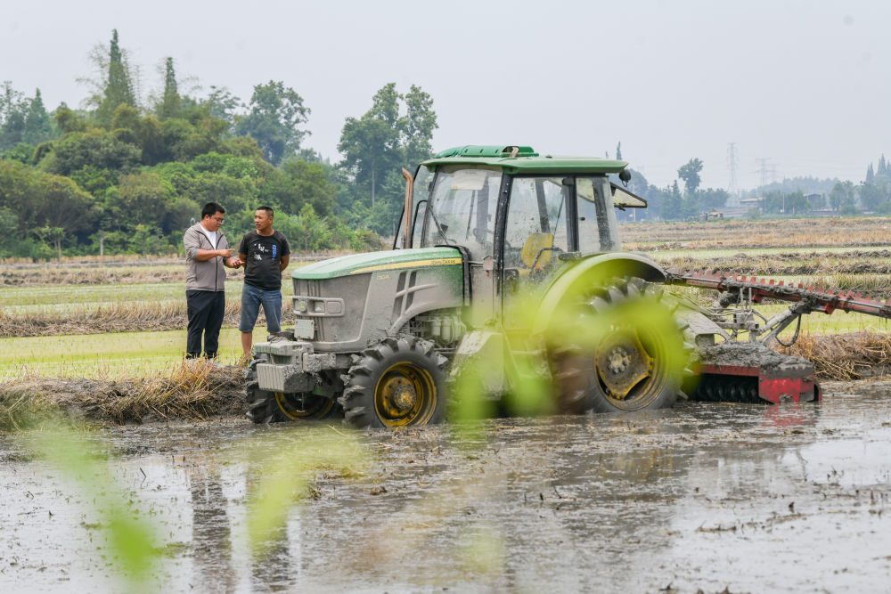 在四川省成都市崇州市大划街道石桥村，舒星宇（左）在和拖拉机手沟通翻耕土地的要求（5月15日摄）。
