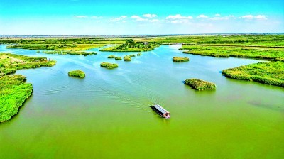 夏季的宁夏沙湖苇绿沙黄、碧波荡漾。资料图片