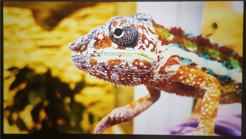 3K价位无对手!电视S65 Mini LED评测:控黑优秀 显示延迟仅8ms