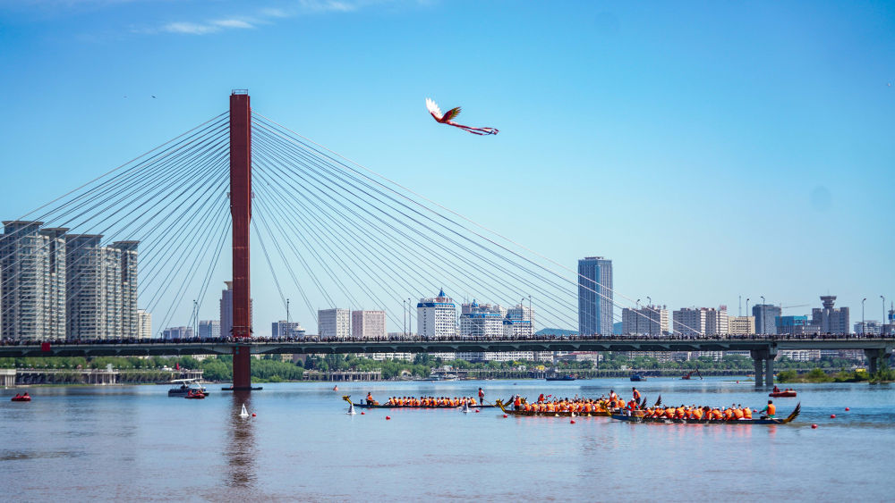 6月10日，在吉林省吉林市举行的2024年端午节国际龙舟邀请赛上，参赛队伍在松花江上竞逐（无人机照片）。新华社记者 颜麟蕴 摄