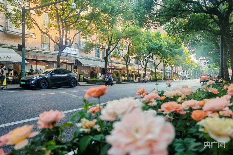 杨浦大学路街景（央广网记者 冯丽 摄）